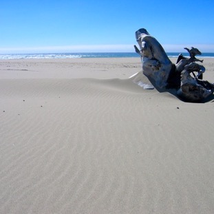 Hubbard Creek Beach, Oregon