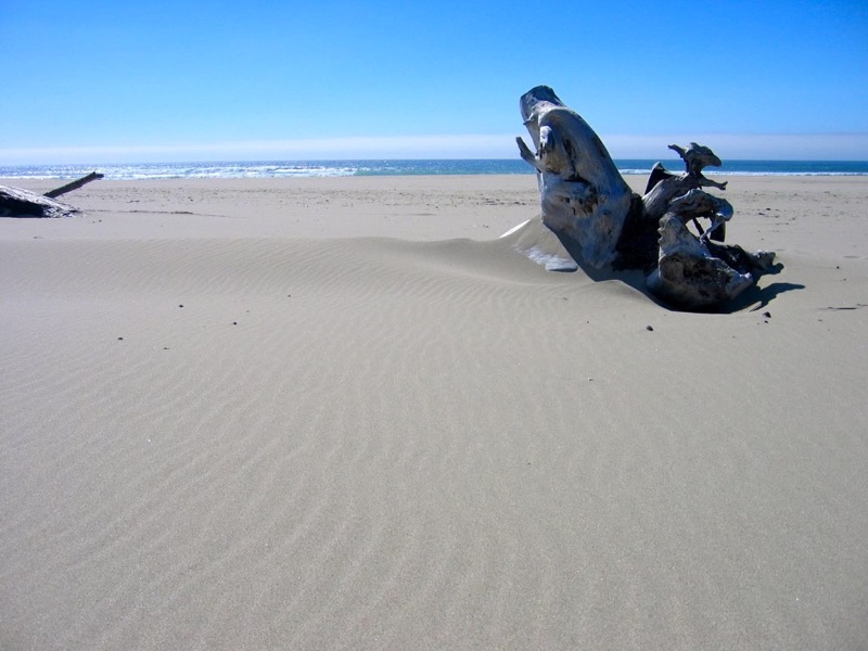 Hubbard Creek Beach, Oregon