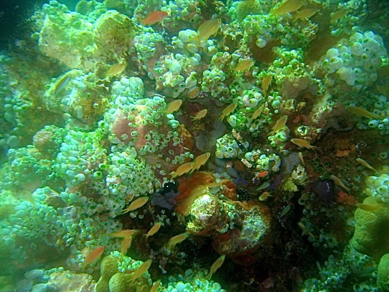 Gili Islands, Indonesia