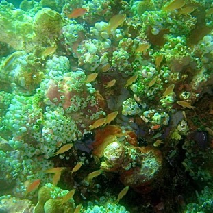 Gili Islands, Indonesia